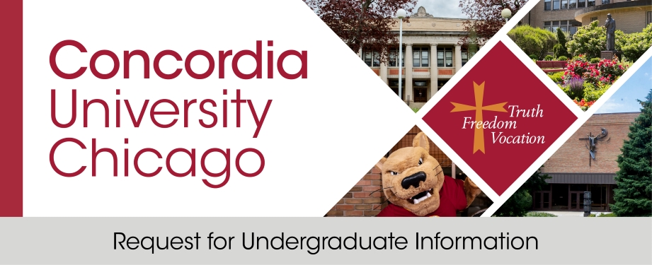 Request for Undergraduate Information